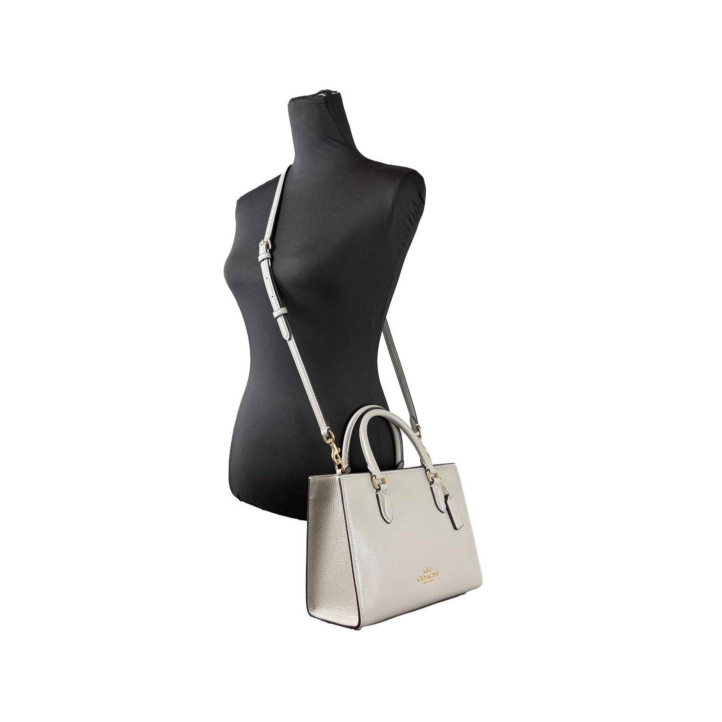 COACH Coach Maggie Small Leather Crossbody Tote Bag