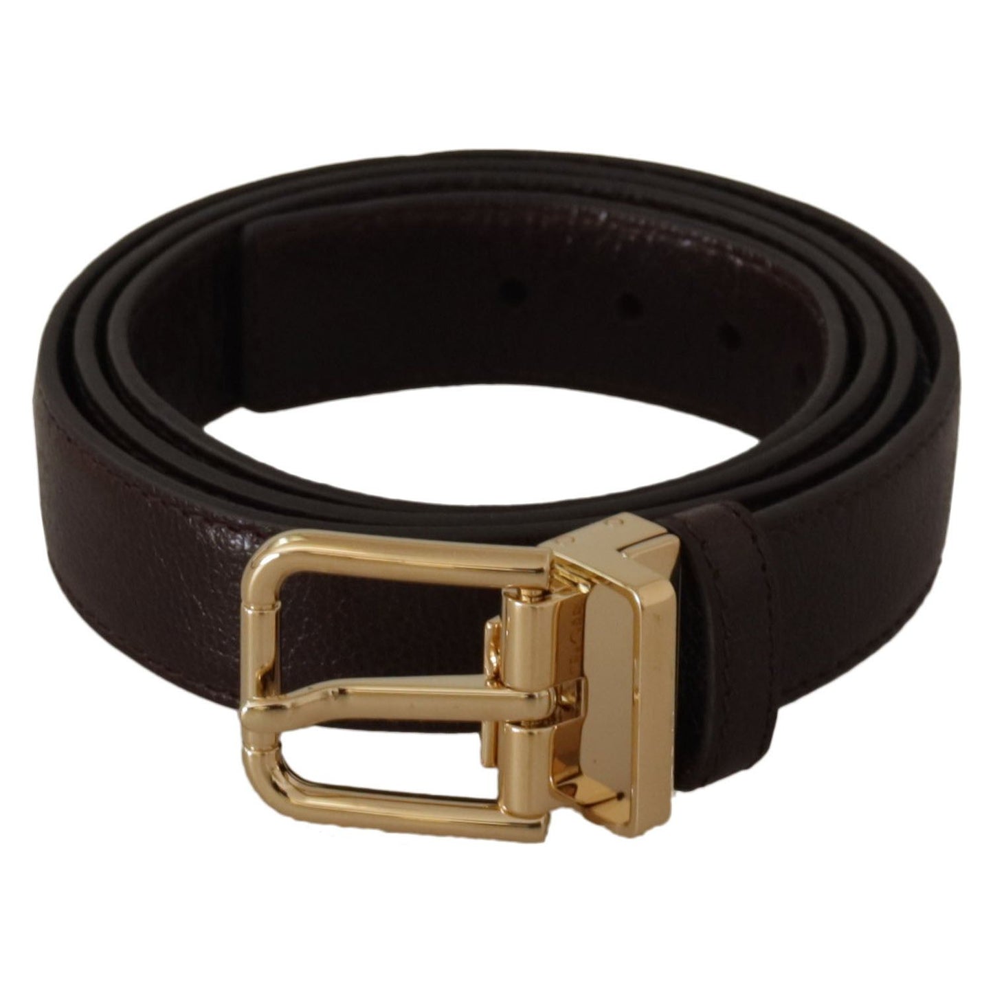 Dolce & Gabbana Brown Leather Gold Metal Buckle Belt