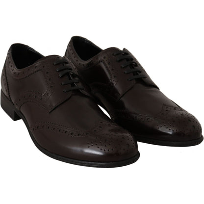 Dolce & Gabbana Brown Leather Broques Oxford Wingtip Shoes Dolce & Gabbana