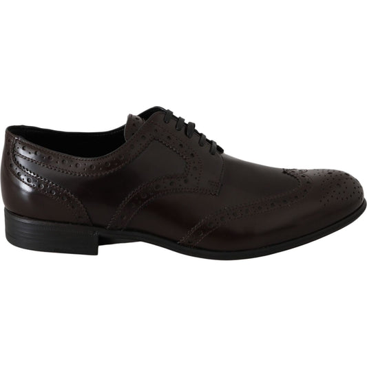 Dolce & Gabbana Brown Leather Broques Oxford Wingtip Shoes Dolce & Gabbana