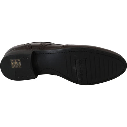 Dolce & Gabbana Brown Leather Broques Oxford Wingtip Shoes Dolce & Gabbana