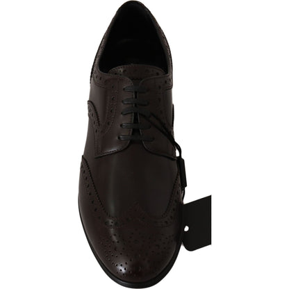 Dolce & Gabbana Brown Leather Broques Oxford Wingtip Shoes Dolce & Gabbana